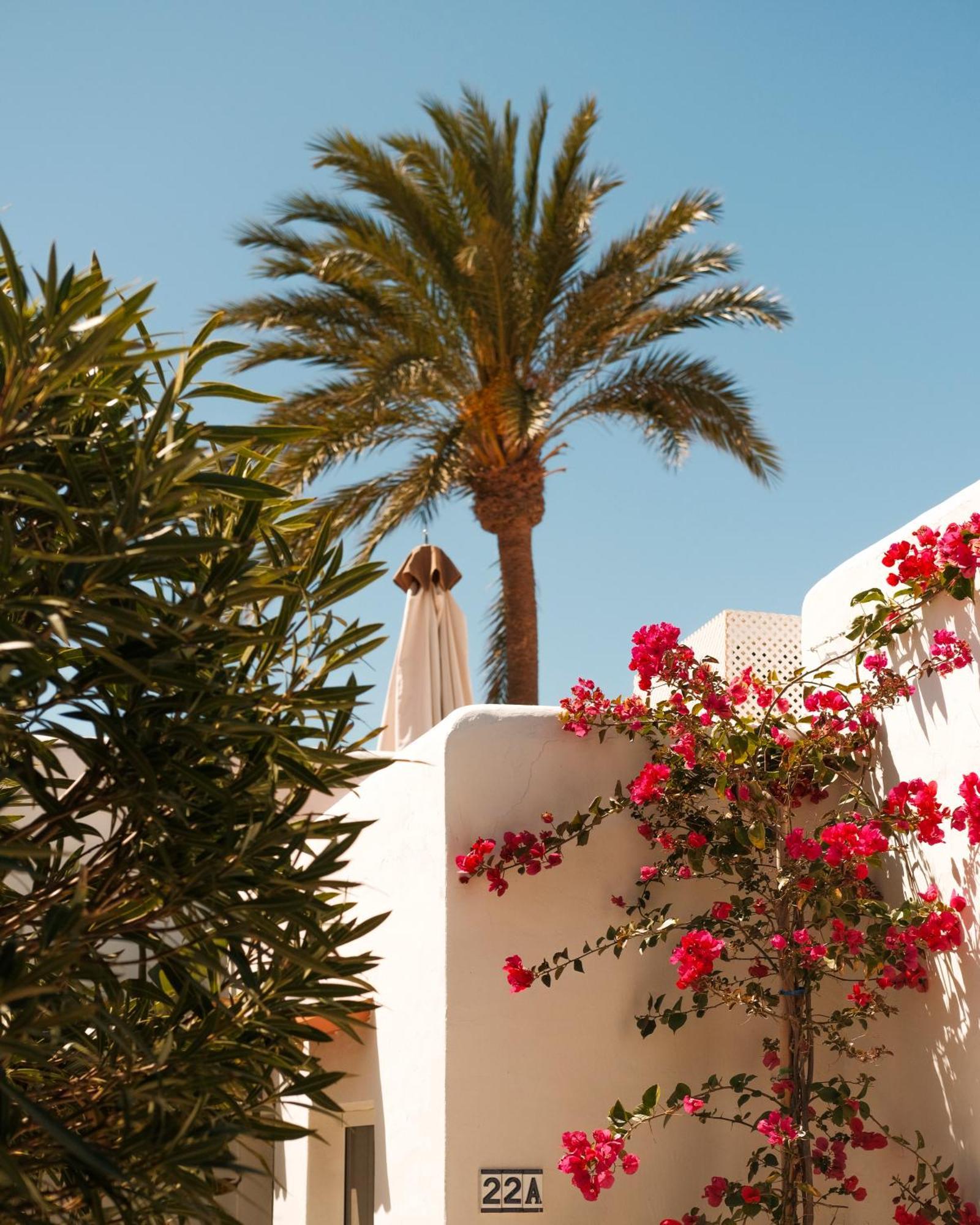 Unio Ibiza - Adults Only Hotel Cala Vadella  Bilik gambar